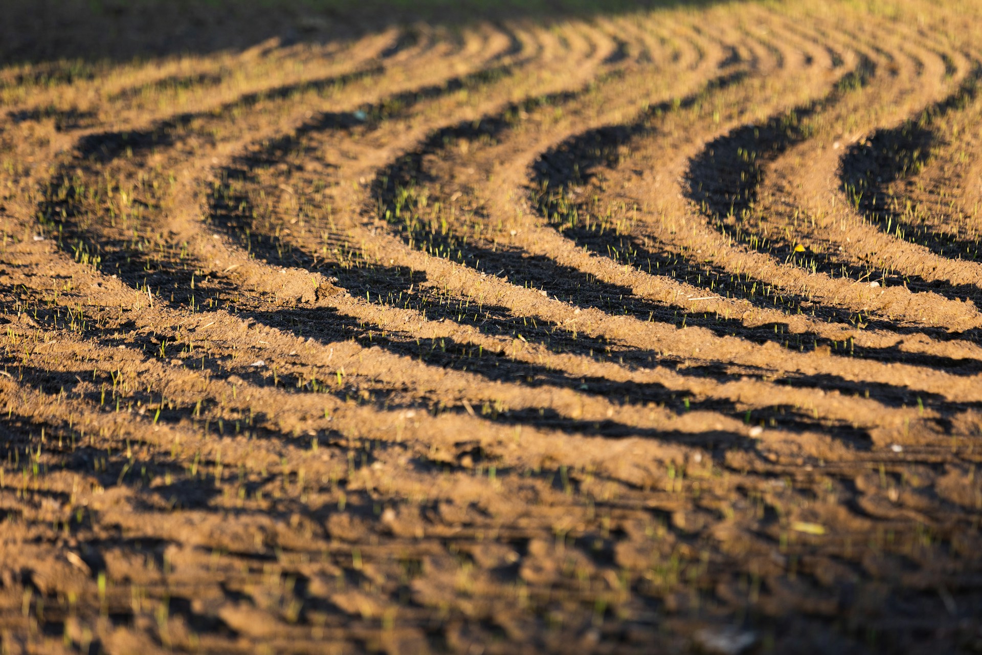 Ground-level view of tilled agricultural soil, representing the Earthco Soil Mixtures case and exclusionary clauses in commercial contracts